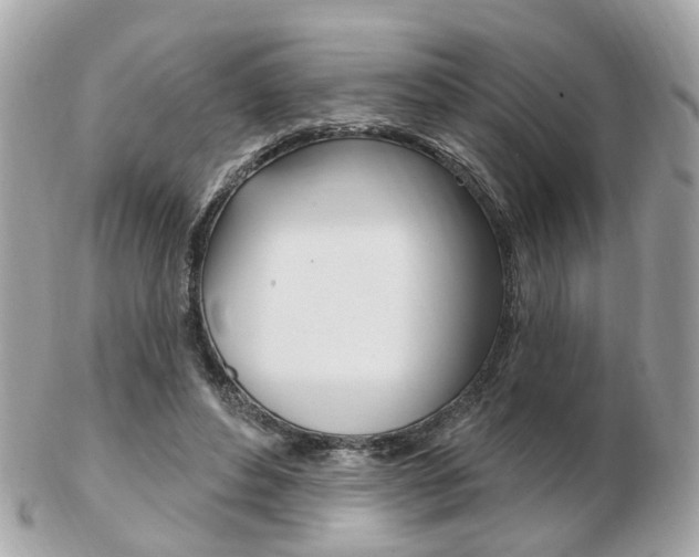 X0000103280496200808291049