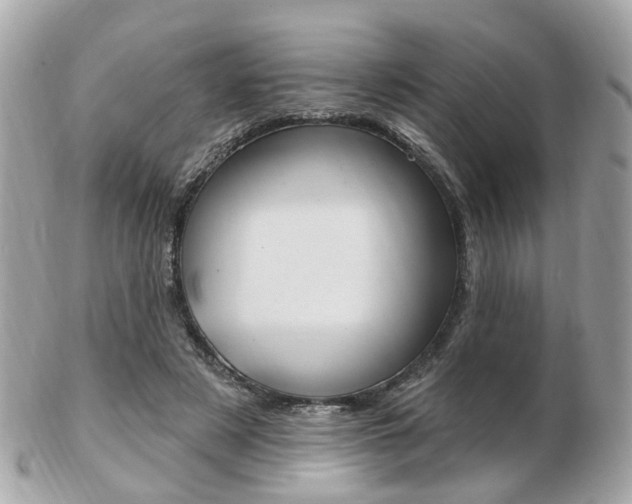 X0000103280497200808291049