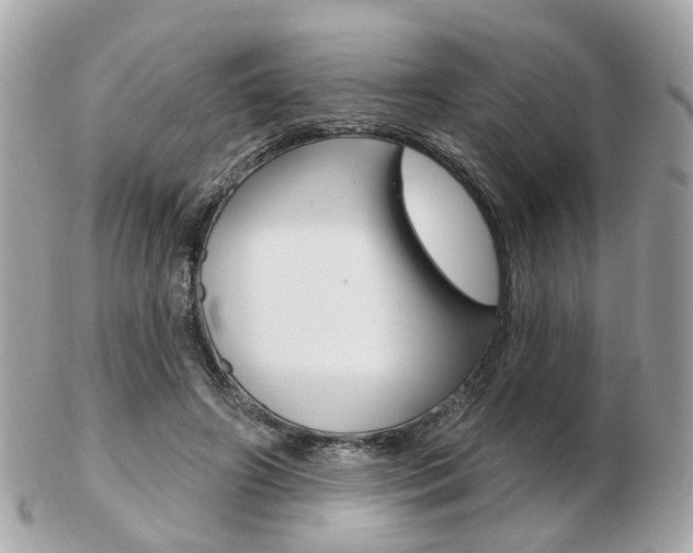 X0000103280498200808291049