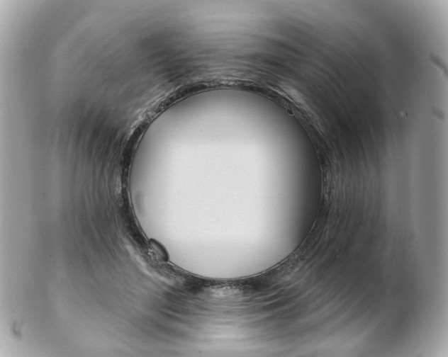 X0000103280500200808291049