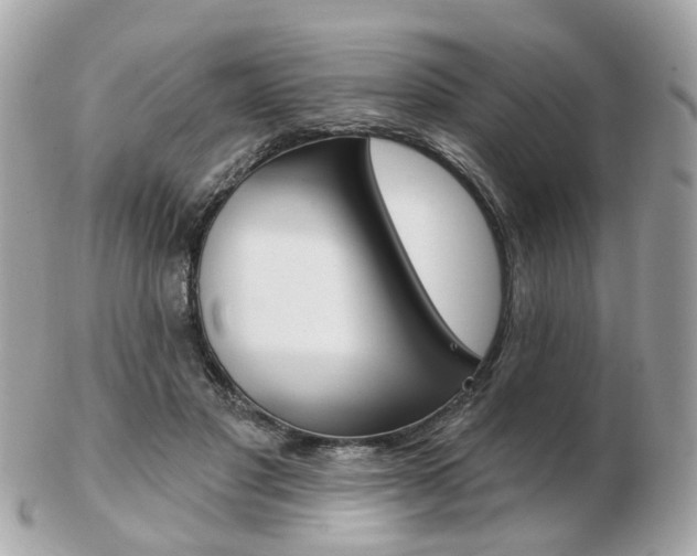 X0000103280501200808291049