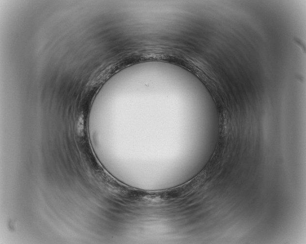 X0000103280502200808291049