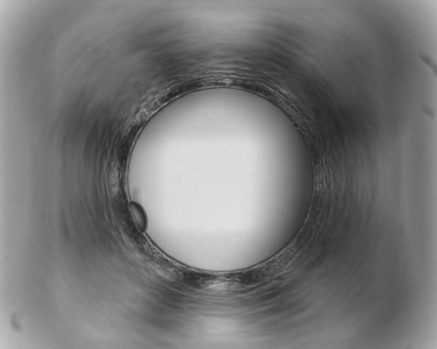 X0000103280504200808291049