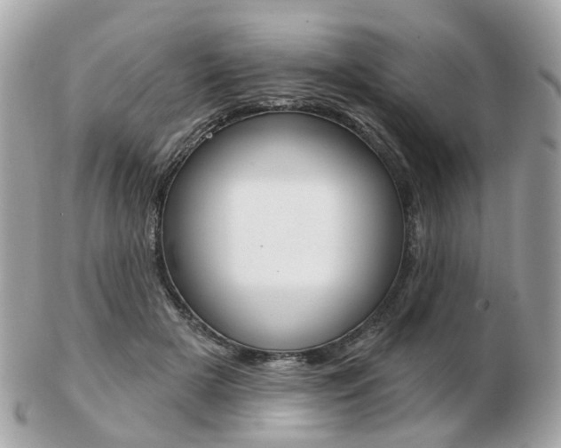 X0000103280505200808291049