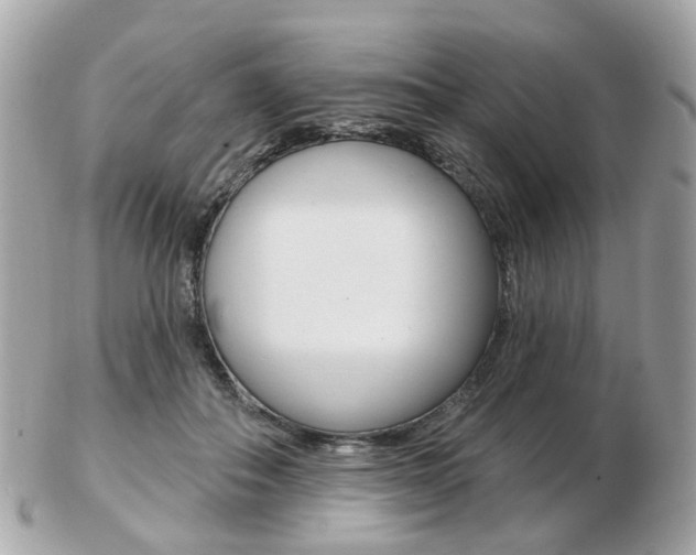 X0000103280506200808291049