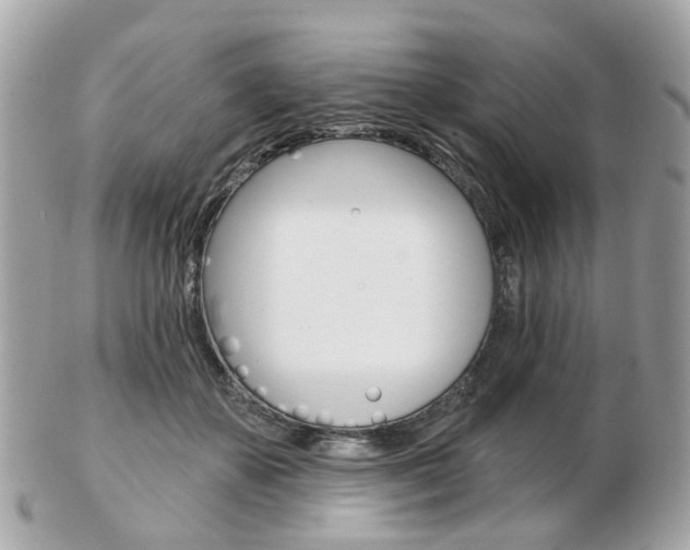 X0000103280507200808291049