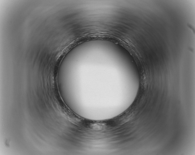 X0000103280508200808291049