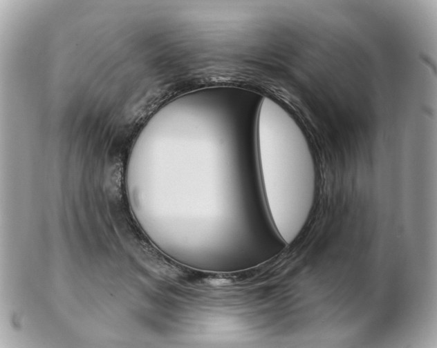 X0000103280509200808291049