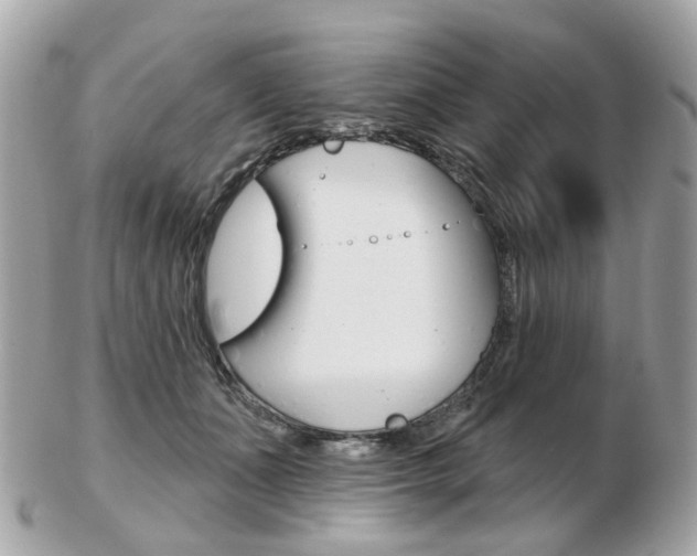 X0000103280511200808291049