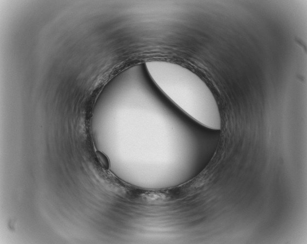 X0000103280512200808291049