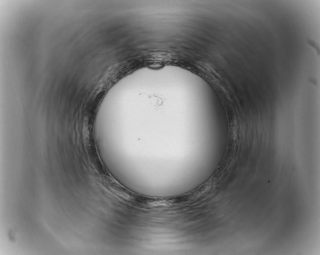 X0000103280516200808291049