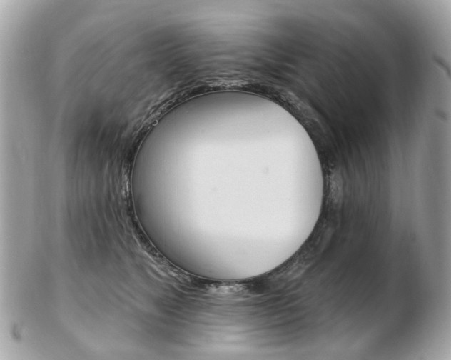 X0000103280517200808291049