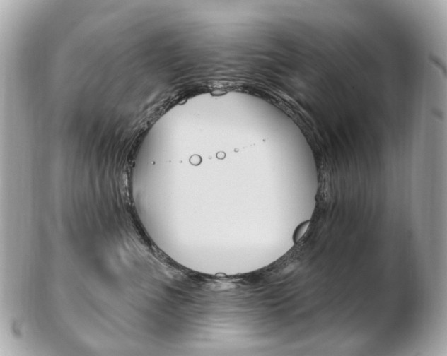 X0000103280523200808291048