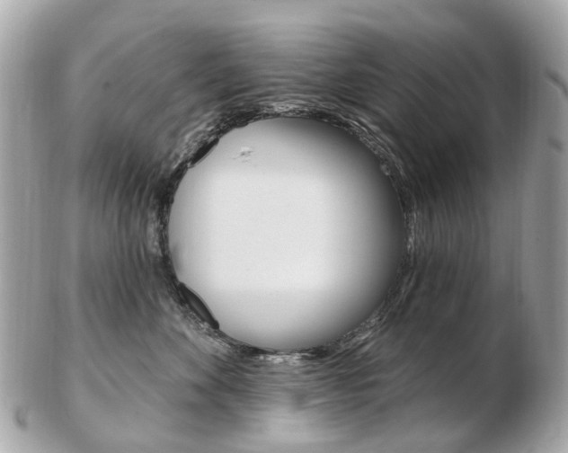 X0000103280524200808291048