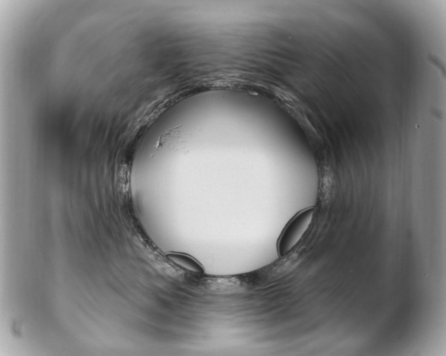 X0000103280525200808291048