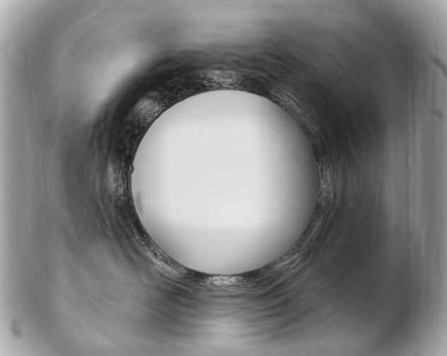 X0000103280526200808291048
