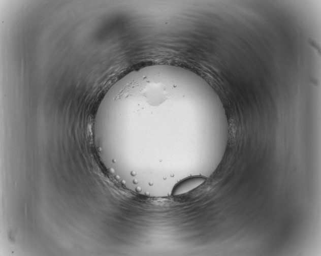 X0000103280527200808291048