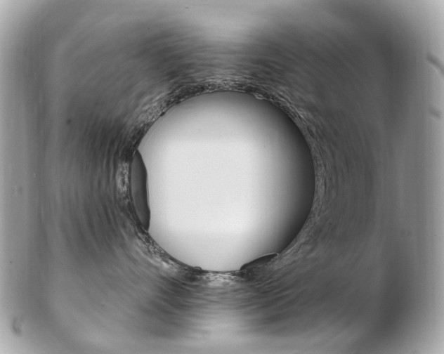X0000103280528200808291048