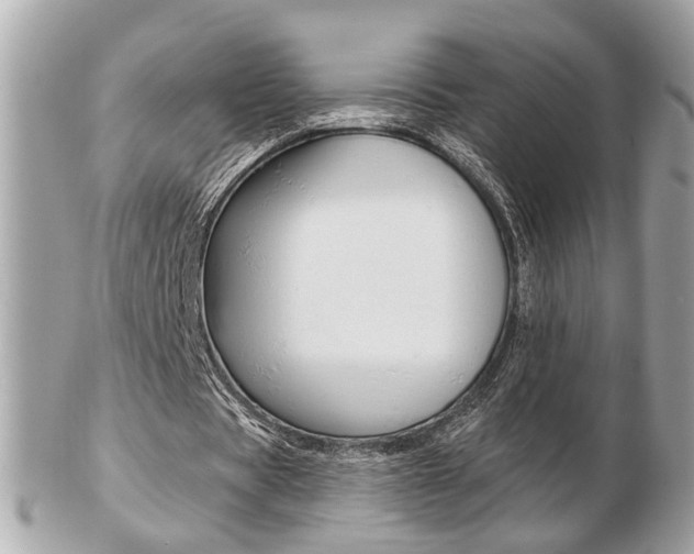 X0000103280529200808291048