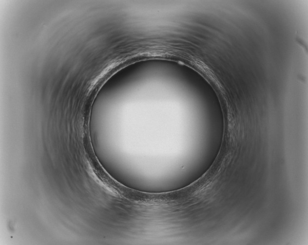 X0000103280530200808291048