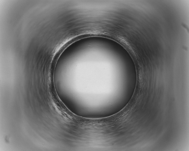 X0000103280532200808291048