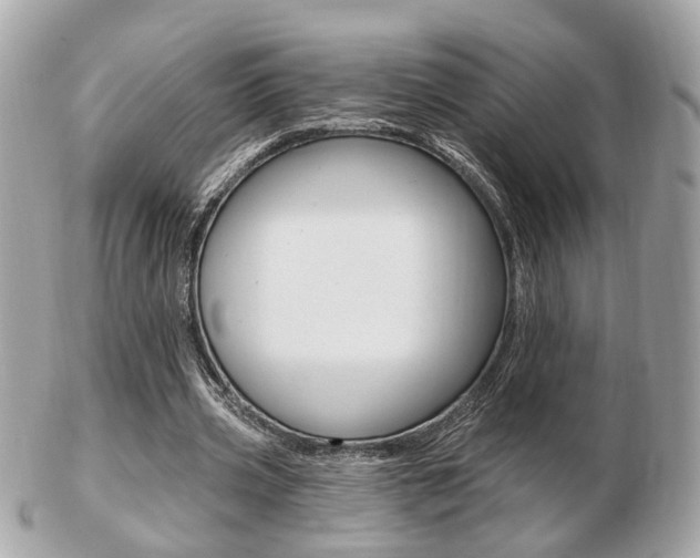 X0000103280533200808291048