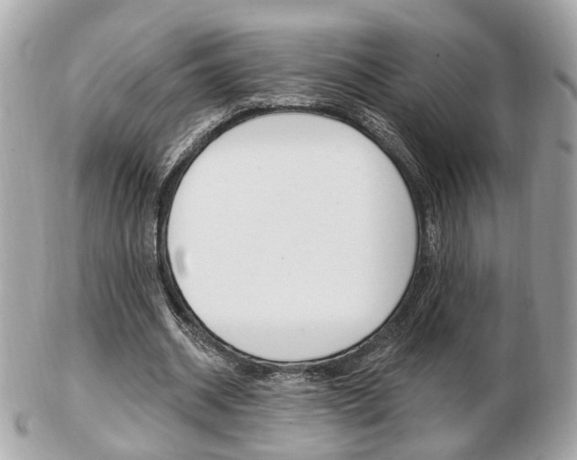 X0000103280534200808291048