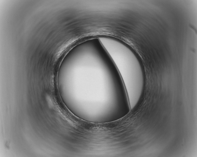 X0000103280535200808291048