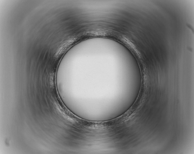 X0000103280537200808291048
