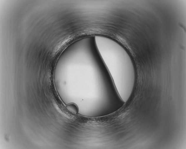 X0000103280538200808291048