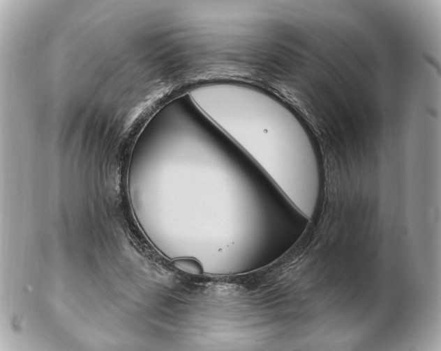 X0000103280539200808291048