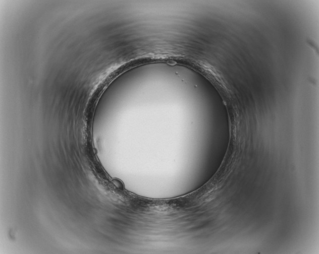 X0000103280540200808291048