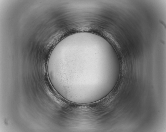 X0000103280541200808291048