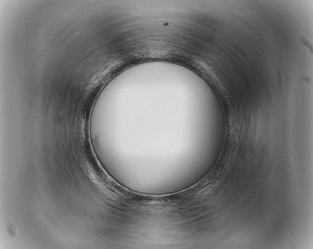 X0000103280542200808291048