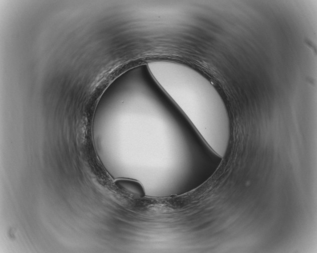 X0000103280544200808291048