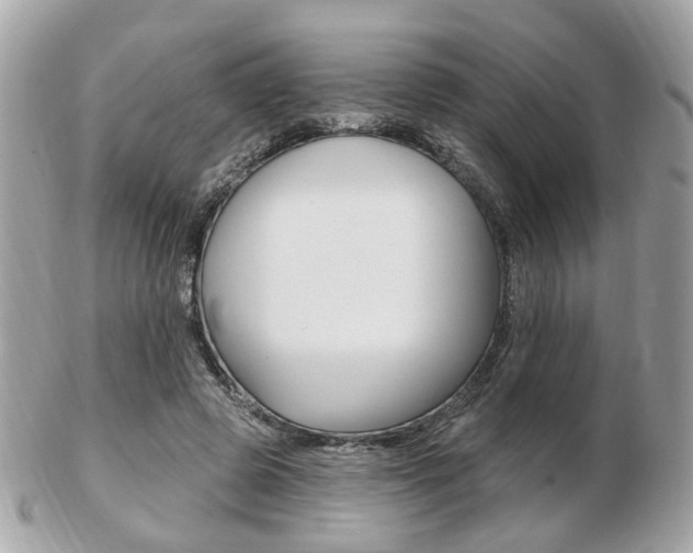 X0000103280545200808291048