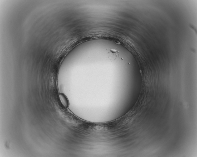 X0000103280546200808291048