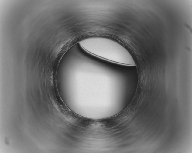 X0000103280547200808291048