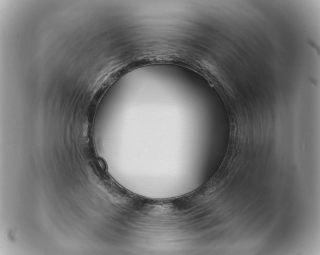 X0000103280548200808291048