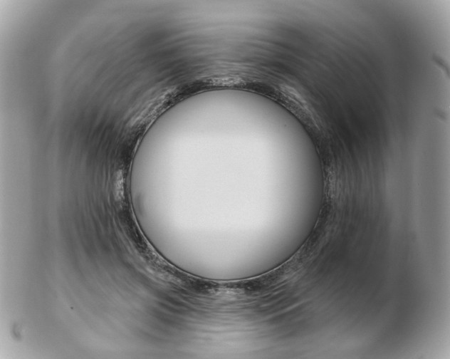 X0000103280549200808291048