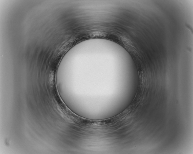 X0000103280550200808291048
