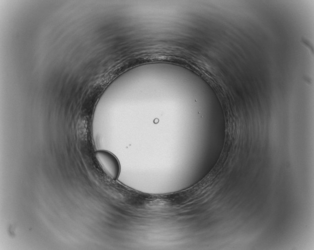 X0000103280551200808291048
