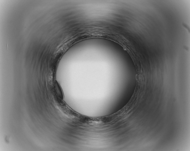 X0000103280552200808291048