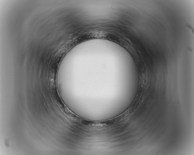 X0000103280553200808291048
