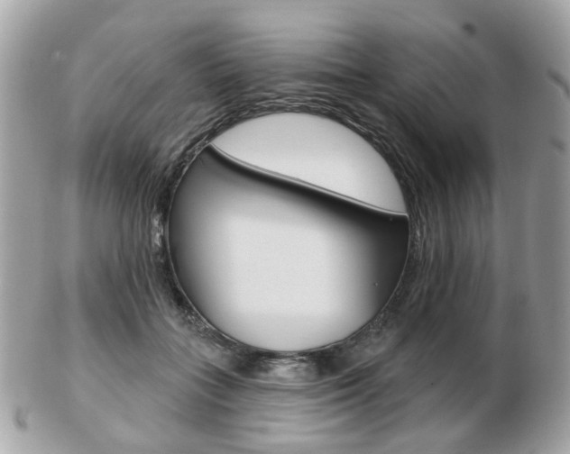 X0000103280555200808291048