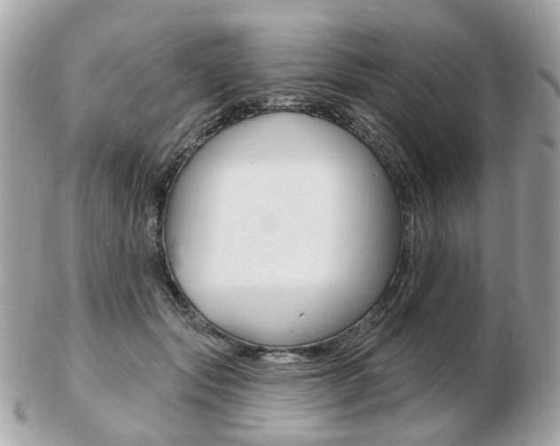 X0000103280557200808291048