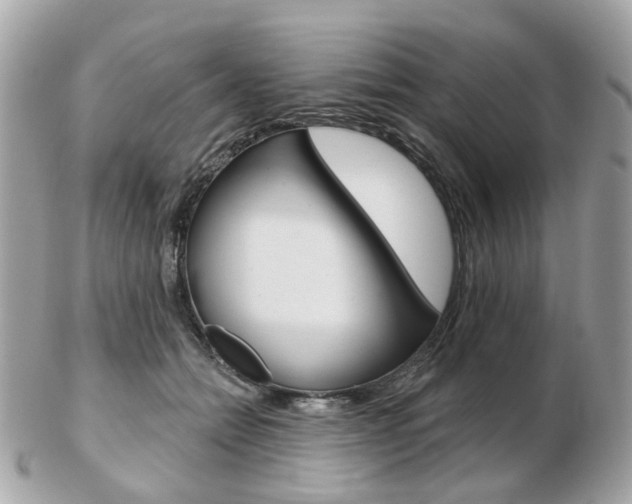 X0000103280558200808291048