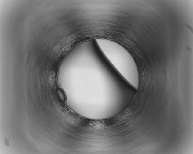 X0000103280559200808291048