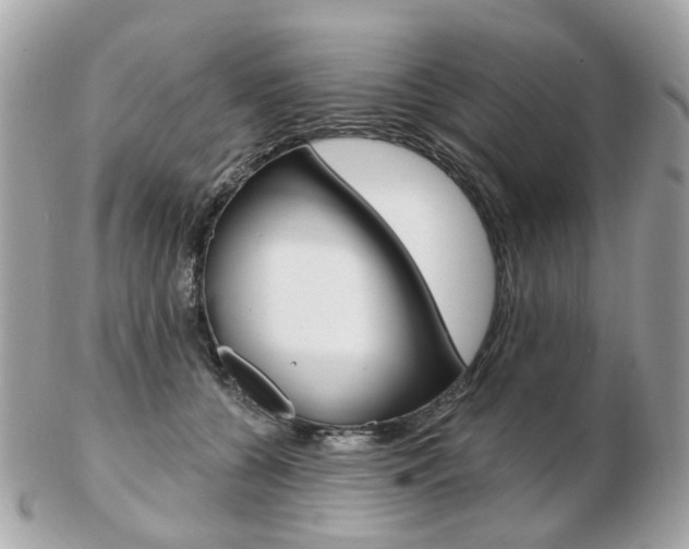 X0000103280560200808291048