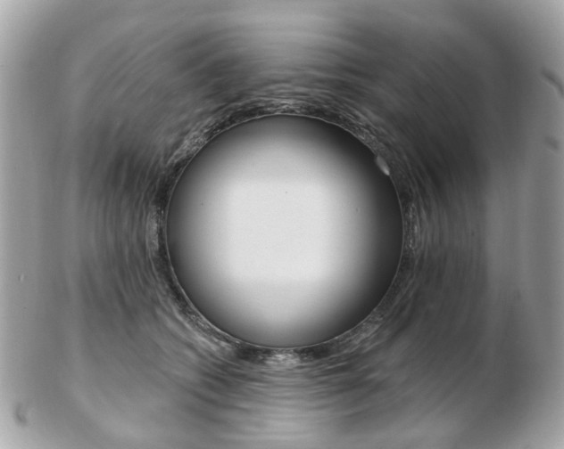 X0000103280562200808291048